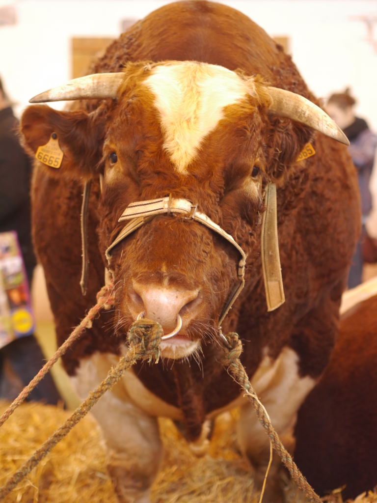 f:id:dairycow2017:20170304135510j:plain