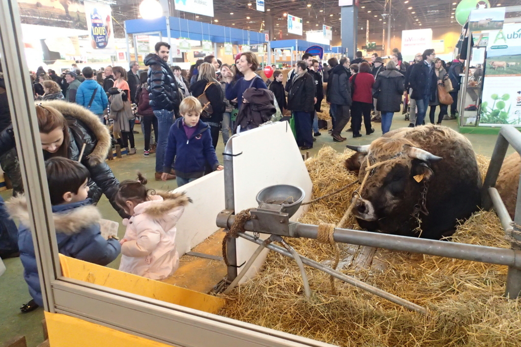 f:id:dairycow2017:20170304135938j:plain