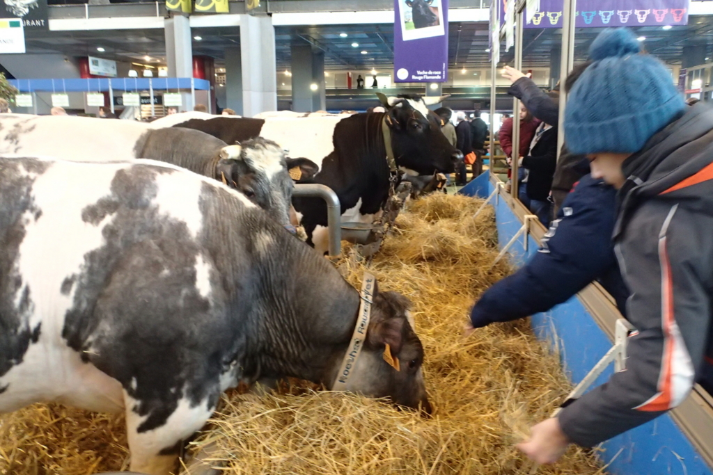 f:id:dairycow2017:20170304140158j:plain