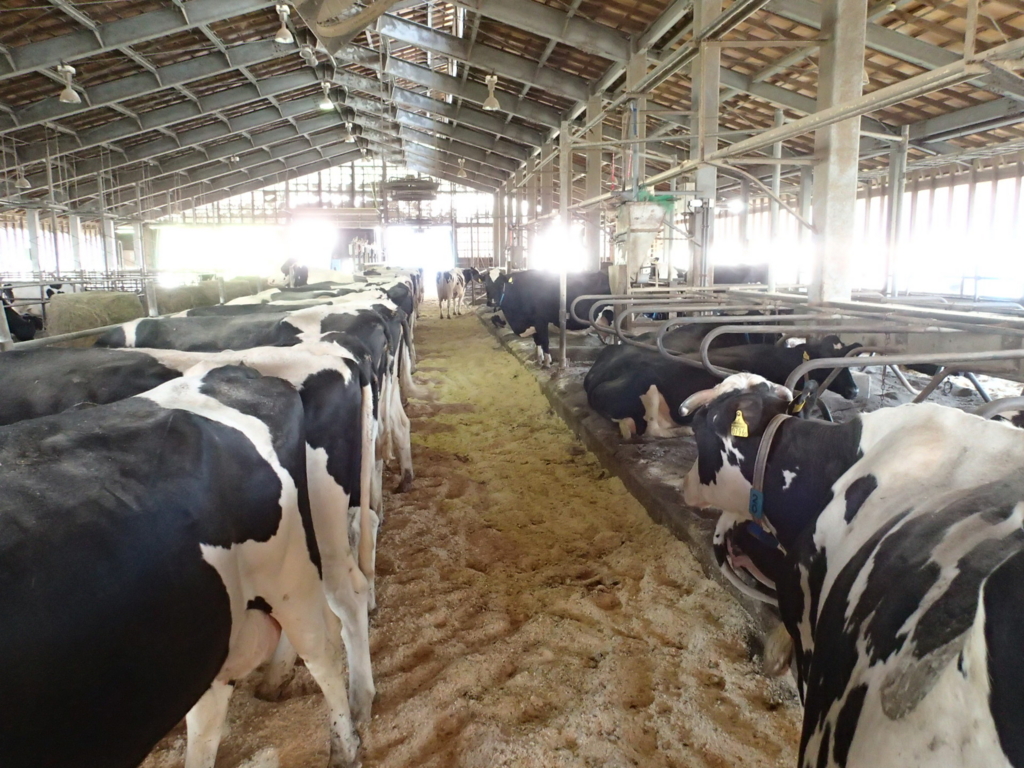 f:id:dairycow2017:20170520011847j:plain f:id:dairycow2017:20170520011847j:plain