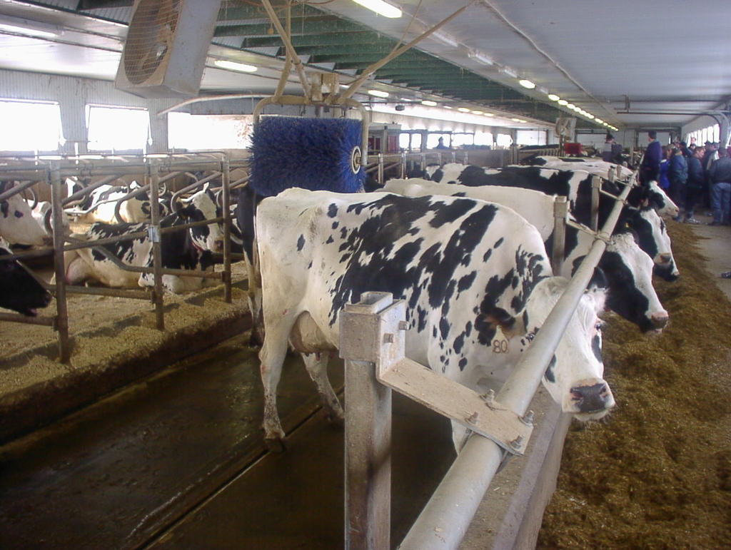 f:id:dairycow2017:20181002164259j:plain f:id:dairycow2017:20181002164259j:plain