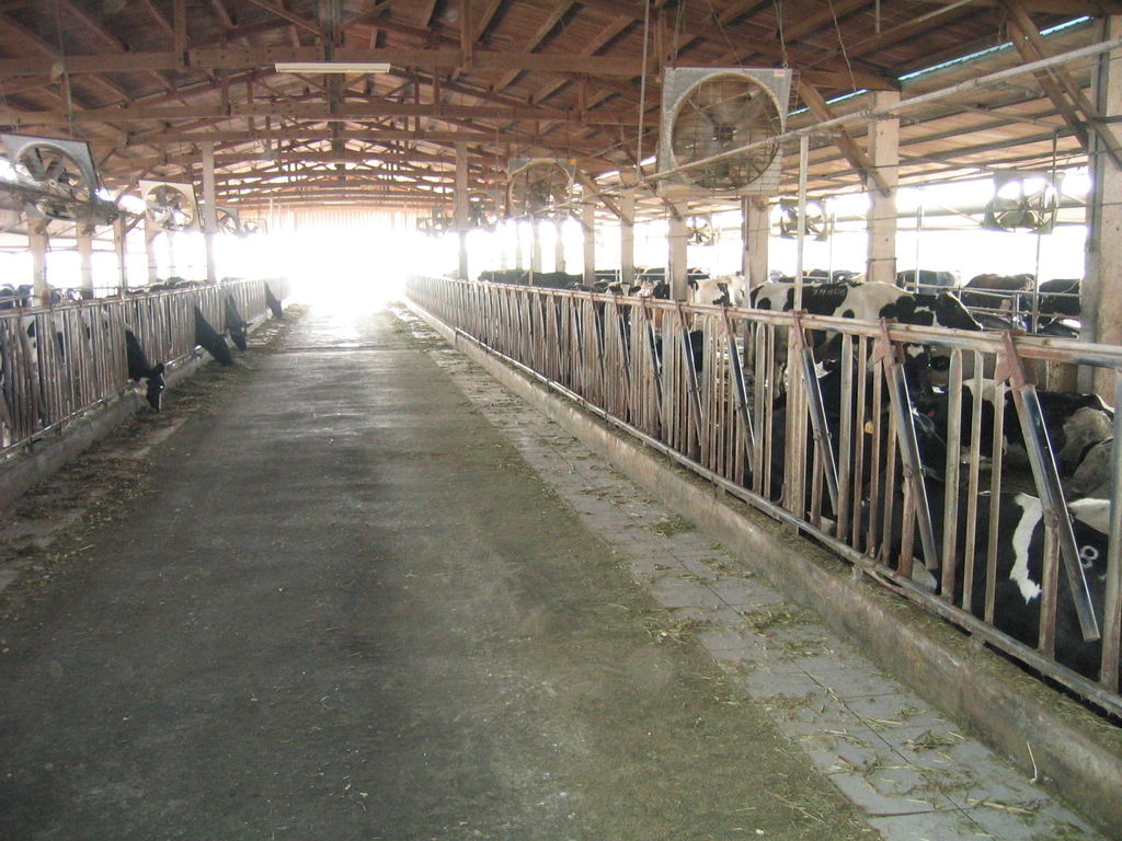 f:id:dairycow2017:20181002164351j:plain f:id:dairycow2017:20181002164351j:plain