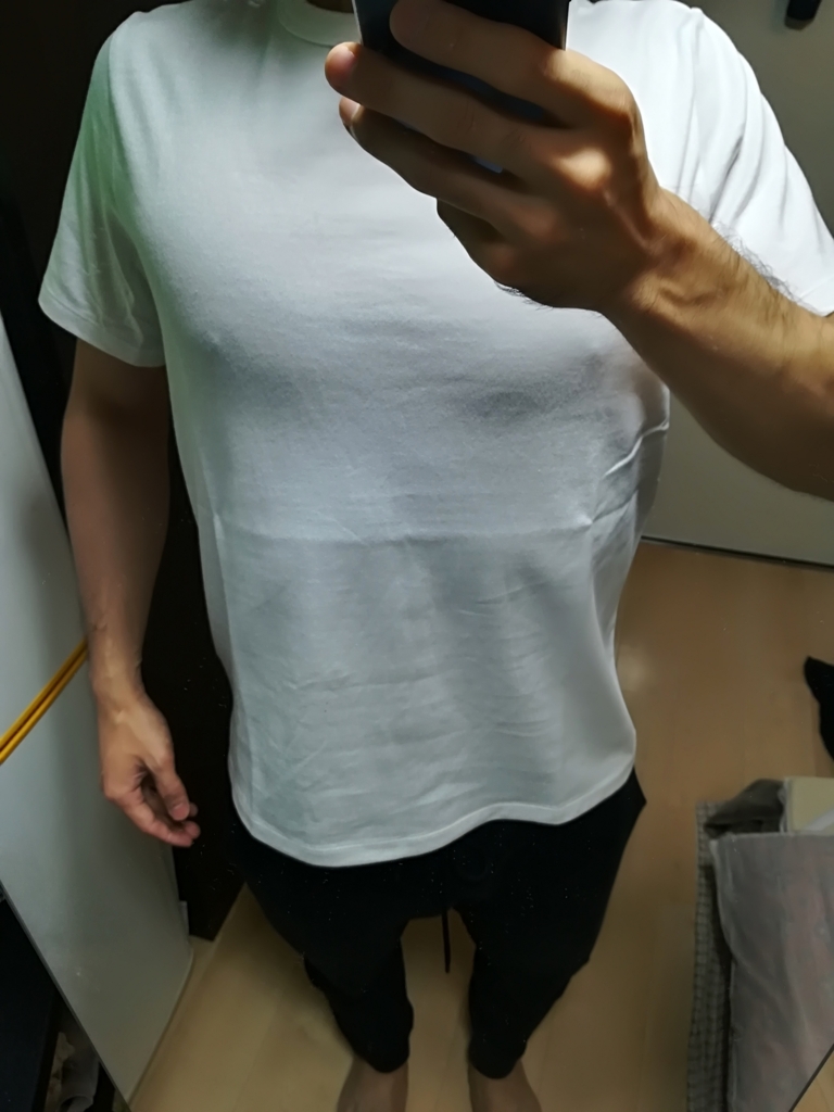 f:id:daisakux:20180705192720j:plain:w350