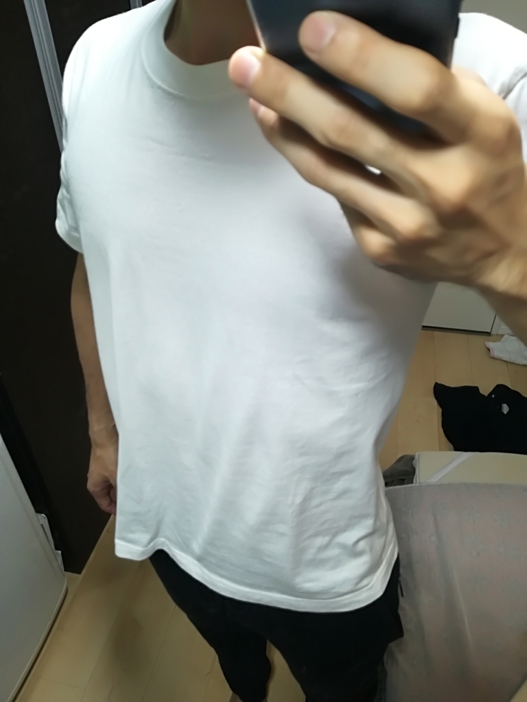 f:id:daisakux:20180705192822j:plain:w350