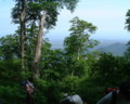 大山夏山登山道途中から日本海