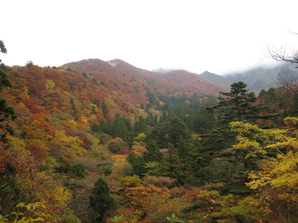 f:id:daisensando:20081110112457j:image
