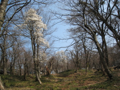 f:id:daisensando:20090408125301j:image