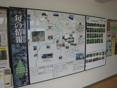 f:id:daisensando:20090524104455j:image