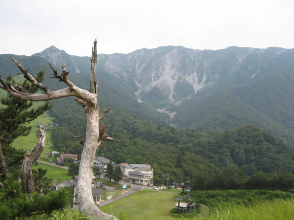 f:id:daisensando:20090711145007j:image