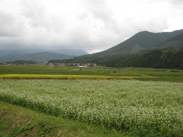 f:id:daisensando:20091007135148j:image