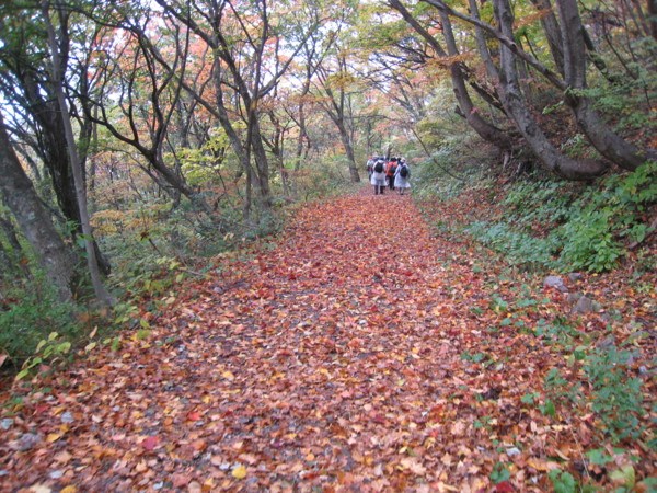 f:id:daisensando:20091026131736j:image