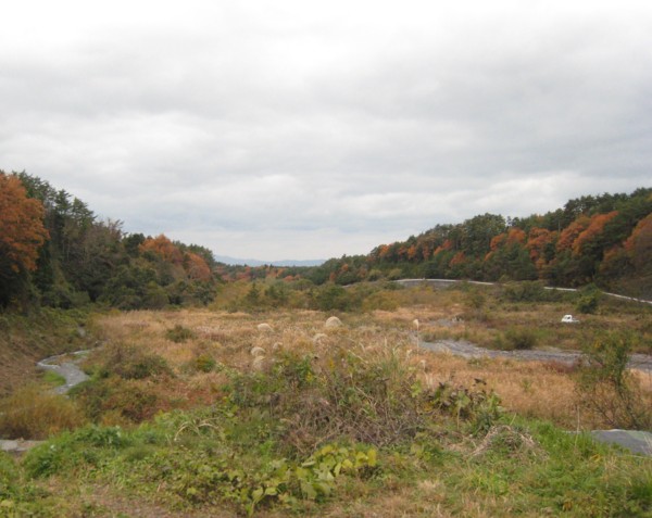丸山橋下流