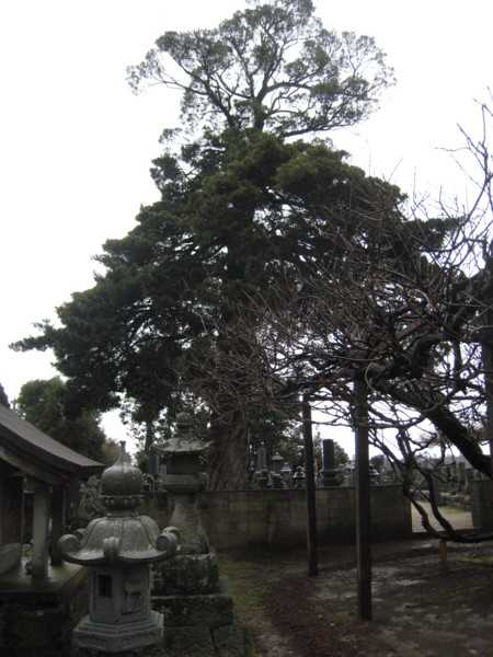 f:id:daisensando:20100302100350j:image