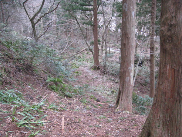f:id:daisensando:20100405104646j:image f:id:daisensando:20100405104646j:image