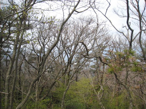 f:id:daisensando:20100424105945j:image