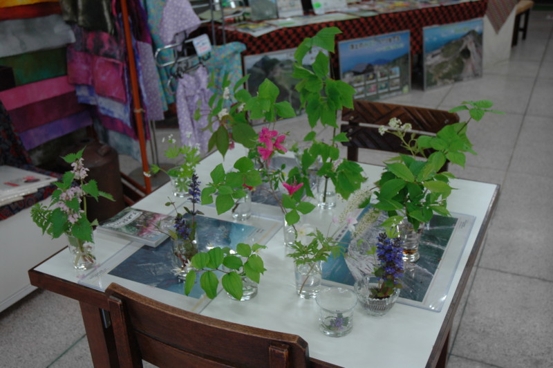 f:id:daisensando:20100518124725j:image