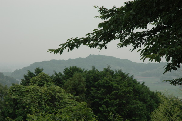 f:id:daisensando:20100625085227j:image