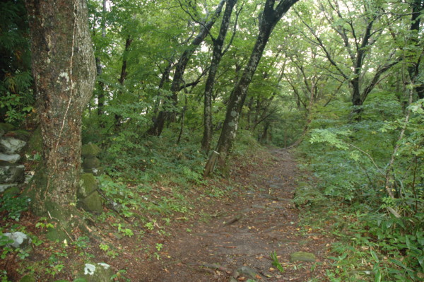 f:id:daisensando:20101010100900j:image