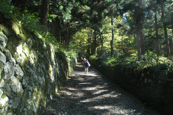 f:id:daisensando:20101104121544j:image
