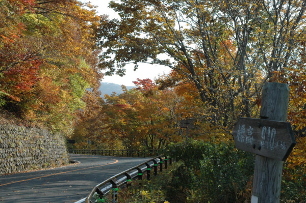 f:id:daisensando:20101108093758j:image