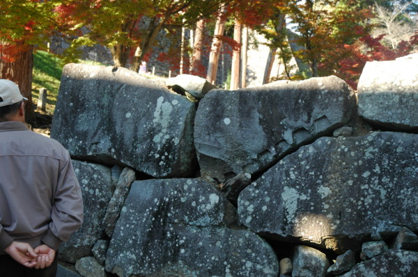 f:id:daisensando:20101120132947j:image