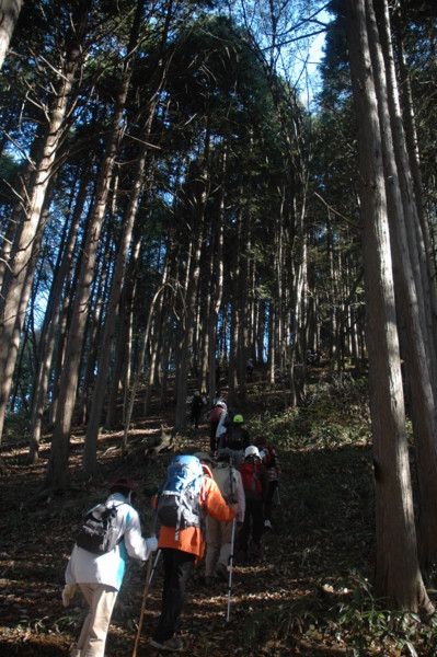f:id:daisensando:20101121101616j:image