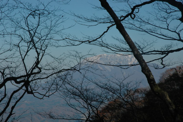 f:id:daisensando:20101121104112j:image