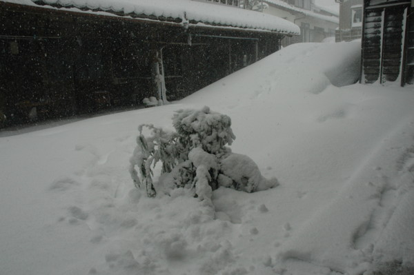 大晦日の大雪