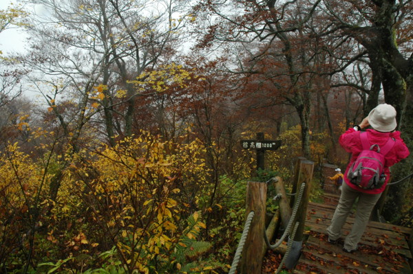 f:id:daisensando:20111031113204j:image