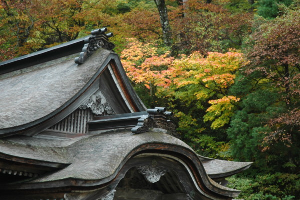 f:id:daisensando:20111031125130j:image