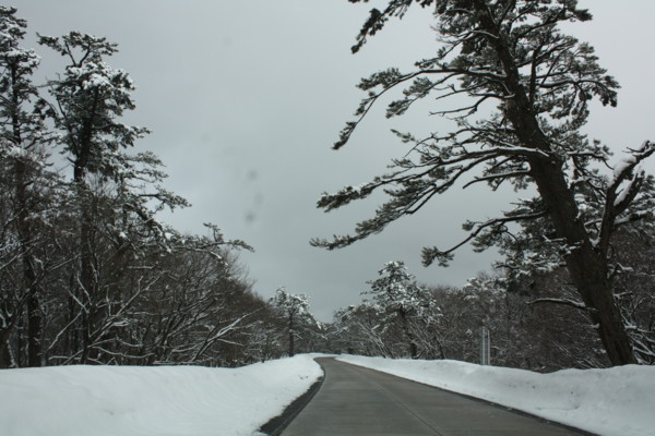 f:id:daisensando:20120326142330j:image