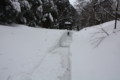 雪の大山寺参道