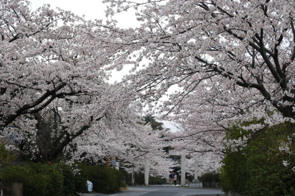 f:id:daisensando:20120410093629j:image