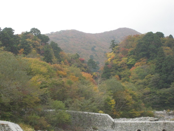 f:id:daisensando:20121028110525j:image