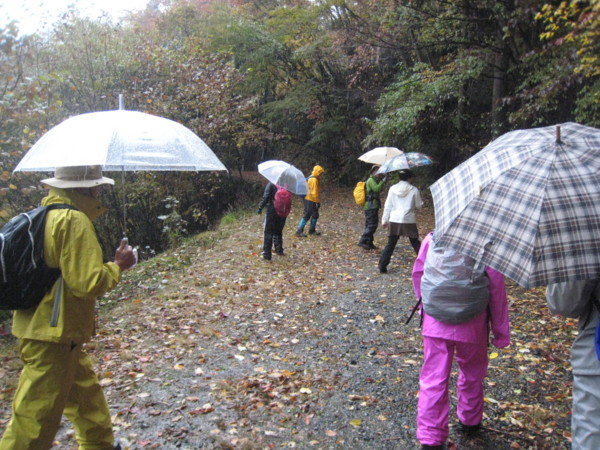 f:id:daisensando:20121111102520j:image