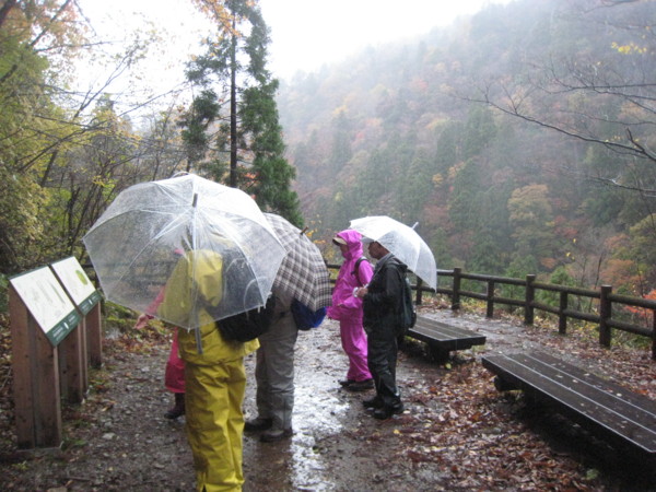 f:id:daisensando:20121111104004j:image