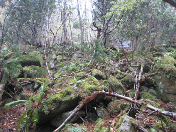 f:id:daisensando:20121111110027j:image