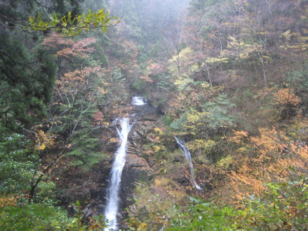 f:id:daisensando:20121111110244j:image