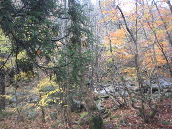 f:id:daisensando:20121111112208j:image