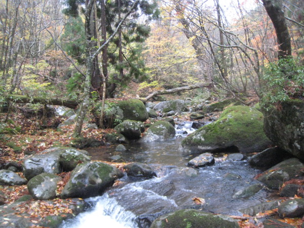 f:id:daisensando:20121111112739j:image