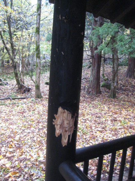 f:id:daisensando:20121111114210j:image