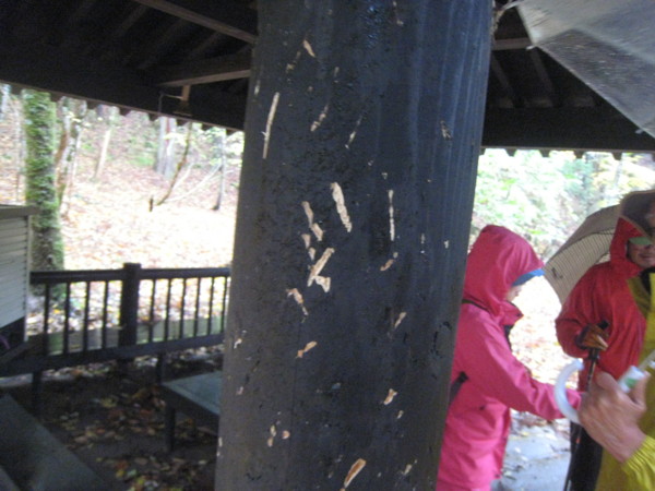 f:id:daisensando:20121111114222j:image