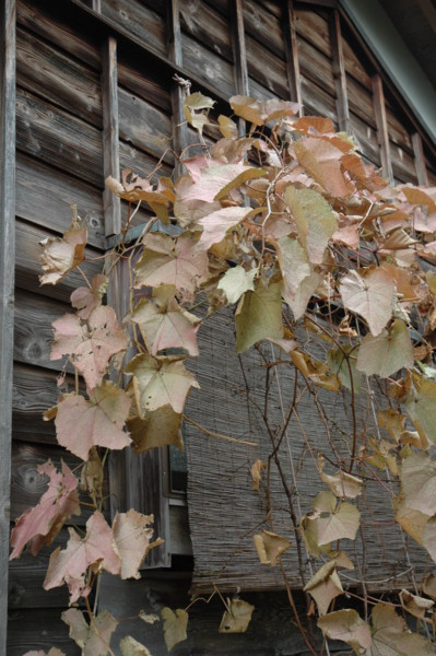 f:id:daisensando:20121112114500j:image