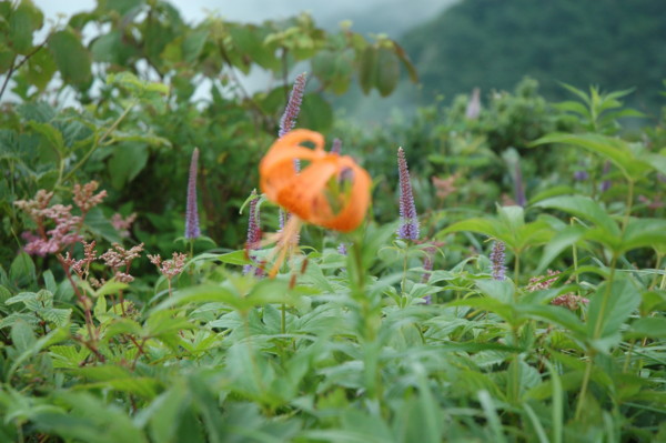 f:id:daisensando:20130722132136j:image
