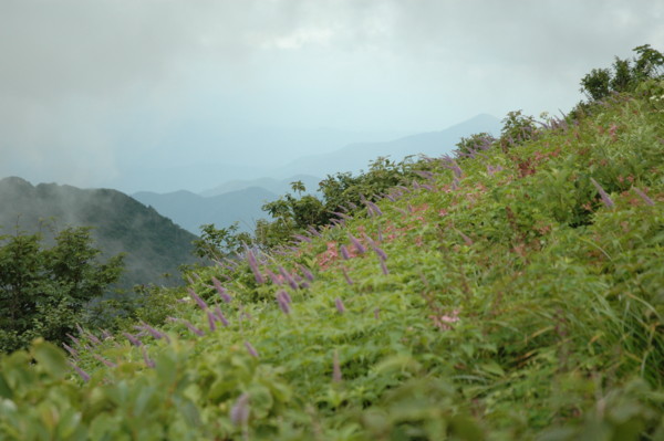 f:id:daisensando:20130722132208j:image