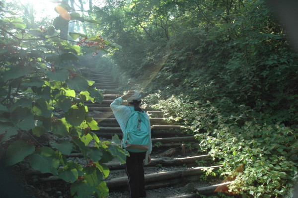 f:id:daisensando:20130809082105j:image