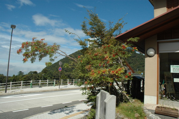 f:id:daisensando:20131006124346j:image