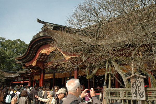 f:id:daisensando:20141116120046j:image