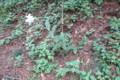 20180529094734