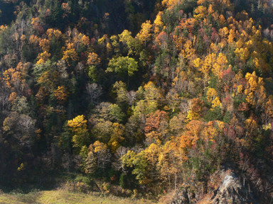 f:id:daisetsuzan:20081012195152j:image:w240